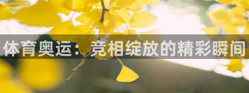 杏运体育用品