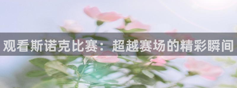 杏运体育f开户