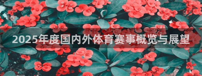 杏运平台注册