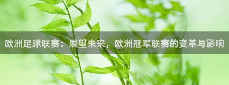 杏运平台总代理