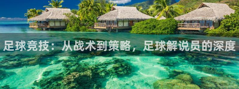 杏运达贝