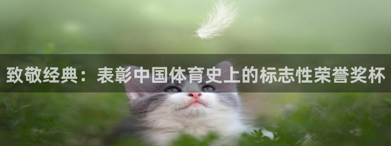 杏运凯捷平台注册链接